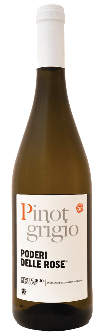 Pinot Grigio Rubicone IGT