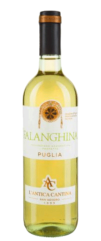 Rosone Falanghina
