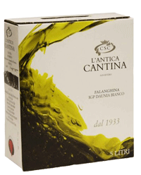 Bib Falanghina