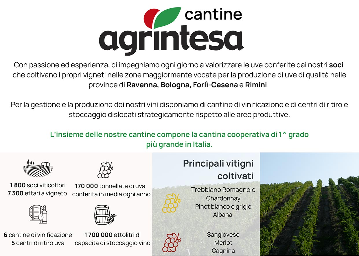 Agrintesa-2